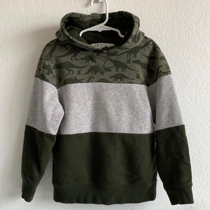 Color Block Dino Hoodie